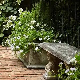 Professional Landscaping